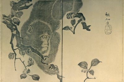 Małpa, 1815, 1924. autorstwa Mori Sosen