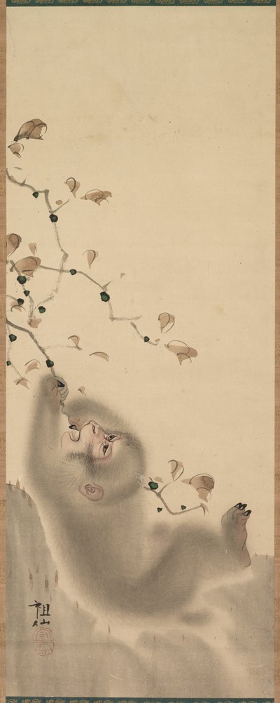 Małpa wisząca na gałęzi, 1780. autorstwa Mori Sosen