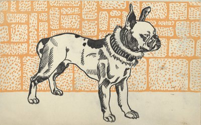 Pitbull Terrier, 1912. autorstwa Moritz Jung