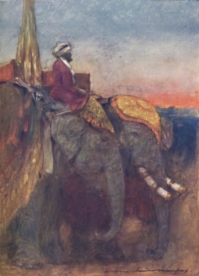 „Słonie Jaipur”, 1903 autorstwa Mortimer L Menpes