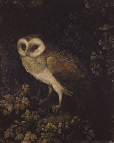 Sowa, 1780-1790. autorstwa Moses Haughton