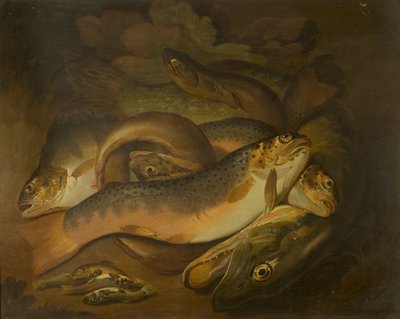 Ryby autorstwa Moses Haughton