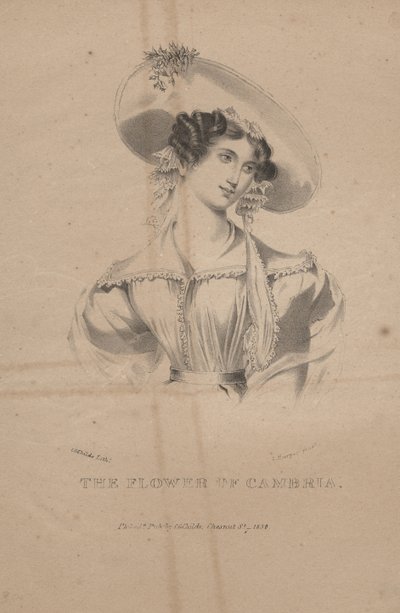 Kwiat Cambrii, lito autorstwa C.G. Dzieci, 1830 autorstwa Moses Swett