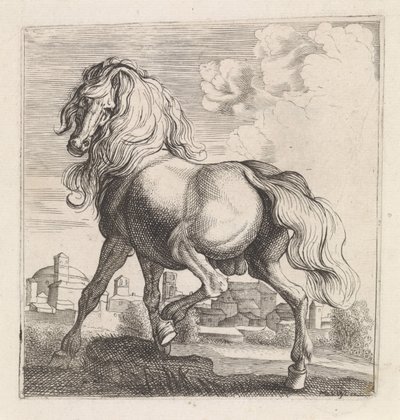 Koń autorstwa Moyses van Wtenbrouck (possibly)