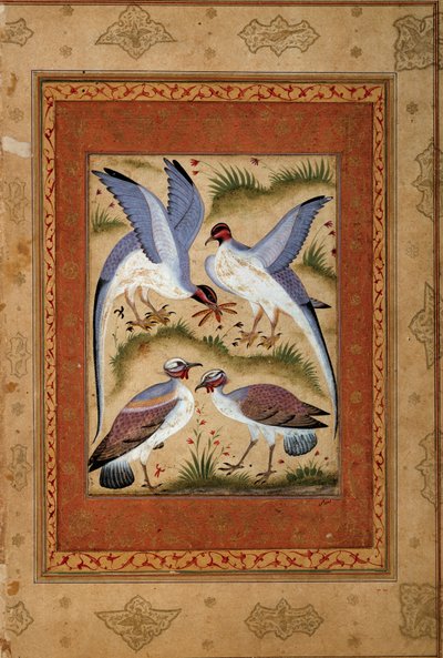Ptaki. Miniaturowy gwasz ze szkoły moghole. 1590-1600. Paryż, Muzeum Guimet, Narodowe Muzeum Sztuki Azjatyckiej autorstwa Mughal School
