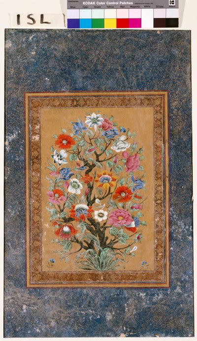 Mityczna Roślina autorstwa Mughal School