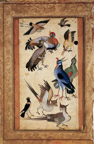 Dziesięć ptaków. Miniaturowe malowidło na gwaszu szkolnego mogoły autorstwa Mughal School