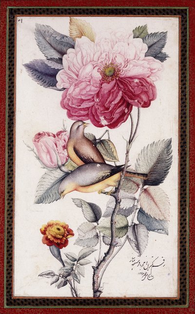 Gul-o Bulbul, ok. 1849-50 (akwarela na papierze) autorstwa Muhammad Baqir