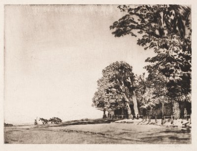 Hampstead Heath autorstwa Muirhead Bone