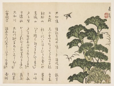 Wielkie drzewo i ptaki, ok. 1830-44 (kolorowy drzeworyt) autorstwa Murata Kagen