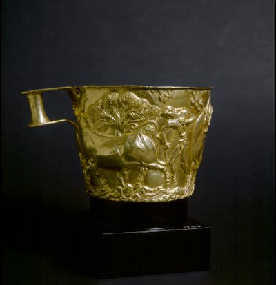 Sztuka mykeńska: złoty puchar zdobi scenę schwytania byka. 1500 pne. Ze strony Vapheio w pobliżu Sparty. Ateny, Narodowe Muzeum Archeologiczne autorstwa Mycenaean