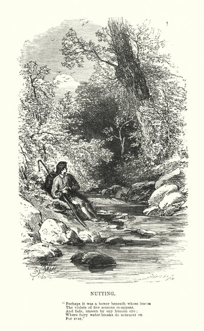 William Wordsworth: Nutting (grawerowanie) autorstwa Myles Birket (after) Foster