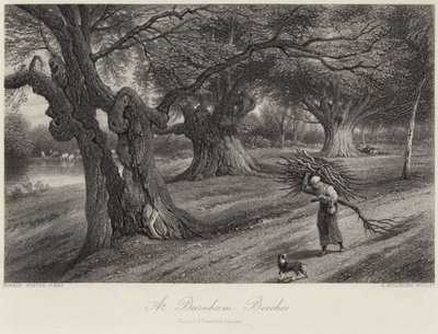 W Burnham Beeches autorstwa Myles Birket Foster
