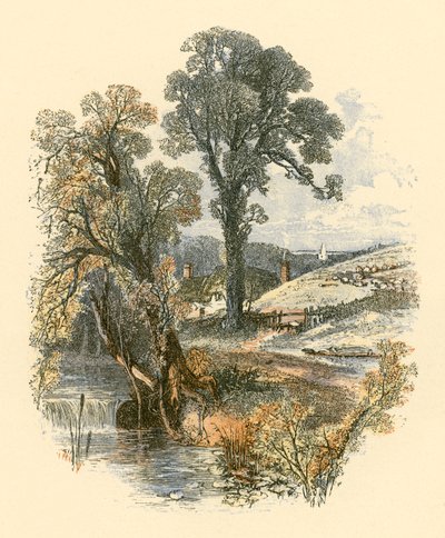 Piękno natury autorstwa Myles Birket Foster