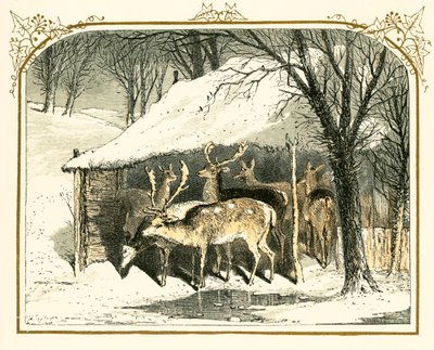 Jeleń na śniegu autorstwa Myles Birket Foster