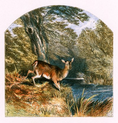 Ilustracja do „Niewoli” autorstwa Myles Birket Foster