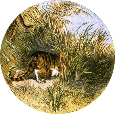 د صحرا کلي پولي لپاره مثال autorstwa Myles Birket Foster