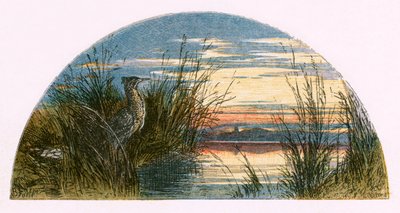 Ilustracja do „Opuszczonej wioski” autorstwa Myles Birket Foster