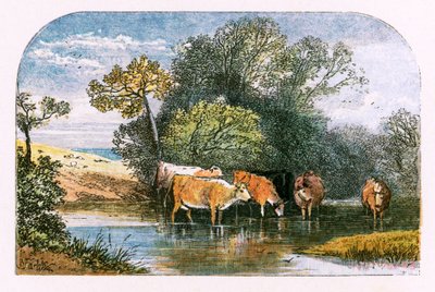 Ilustracja do „Opuszczonej wioski” autorstwa Myles Birket Foster