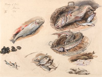 Studium ryb, Wenecja autorstwa Myles Birket Foster