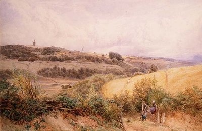 Letni krajobraz w pobliżu Haslemere, Surrey autorstwa Myles Birket Foster
