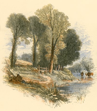یکشنبه واکسپولي autorstwa Myles Birket Foster