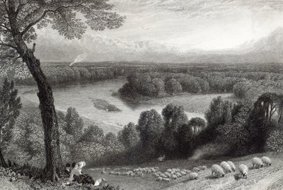 Tamiza z Richmond Hill, sztychowana przez J. Saddlera, druk: Cassell, Petter und Galvin autorstwa Myles Birket Foster