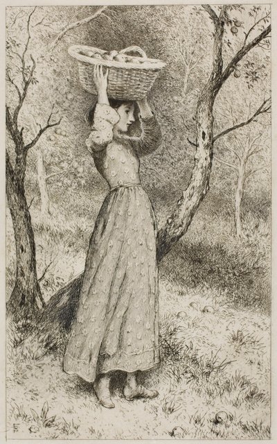 Młoda dziewczyna w sadzie z koszem owoców autorstwa Myles Birket Foster