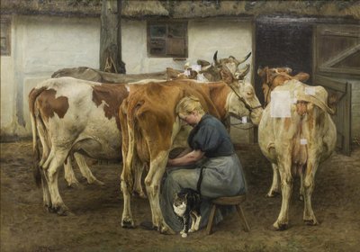Dojenie krów. Zachodnia Jutlandia autorstwa N.P. Mols