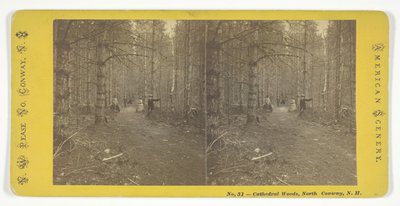 Cathedral Woods, North Conway, NH, połowa XIX wieku. autorstwa N.W. Pease