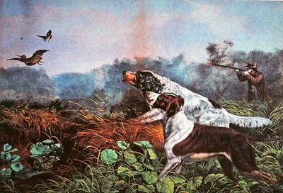 American Field Sports: szansa na obie beczki autorstwa Currier and Ives