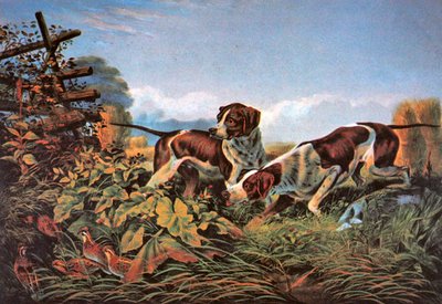 Amerykańskie sporty terenowe: w punkcie autorstwa Currier and Ives