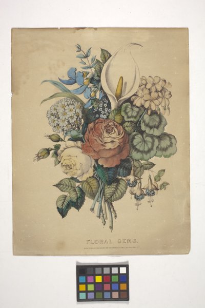 Gems florais (litografia colorida à mão) polonês autorstwa N. and Ives J.M. (1824 95) Currier