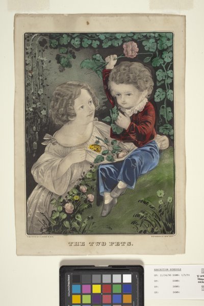 The Two Pets (litografia ręcznie kolorowana) autorstwa N. and Ives J.M. (1824 95) Currier