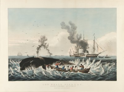Łowisko wielorybów: atak na kaszalota... i „podcinanie” (kolorowa litografia) autorstwa Currier and Ives