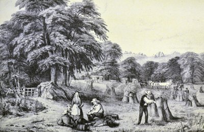 Currier & Ives ilustracja XIX wieku. Zbiór autorstwa N. and Ives, J.M. Currier