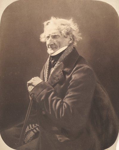 Pierre-Luc-Charles Ciceri, 1855-60. autorstwa Nadar