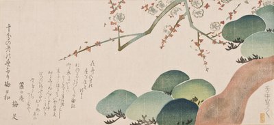 Pine Tree and Plum Blossom, 1810-30 (kolorowy drzeworyt) autorstwa Nakamura Hochu