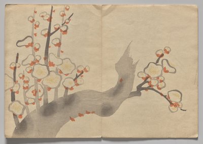Scena z Kōrin Picture Book (tom 2) autorstwa Nakamura Hochu