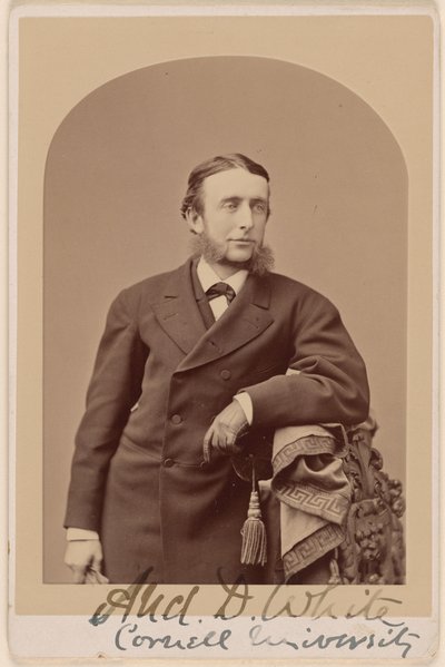 Andrew Dickson White autorstwa Napoleon Sarony