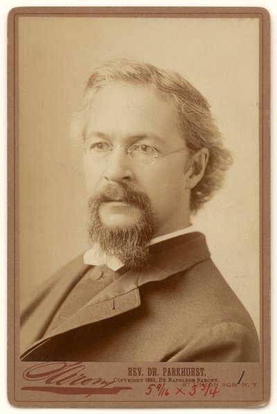 Charles Henry Parkhurst autorstwa Napoleon Sarony