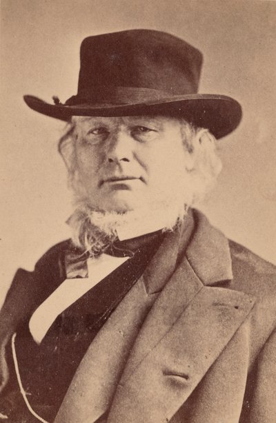 Portret Horacego Greeleya 1811-1872, 1869. autorstwa Napoleon Sarony