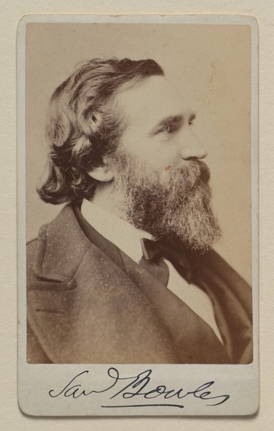 Samuel Bowles II autorstwa Napoleon Sarony