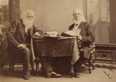 William Cullen Bryant i Peter Cooper autorstwa Napoleon Sarony