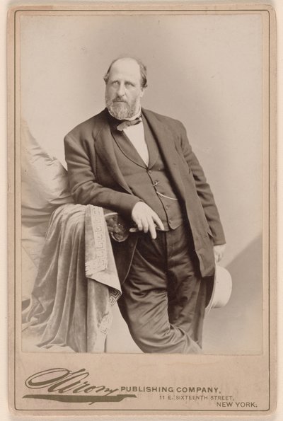 William Marcy Tweed autorstwa Napoleon Sarony