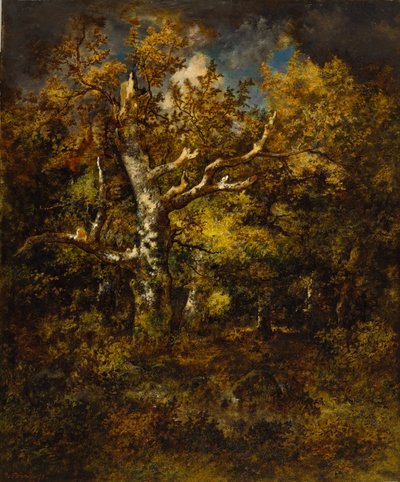 Las Fontainebleau, jesień autorstwa Narcisse Virgile Diaz de la Peña