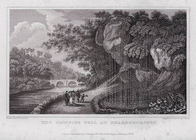The Dropping Well w Knaresborough (grawerowanie) autorstwa Nathaniel (after) Whittock