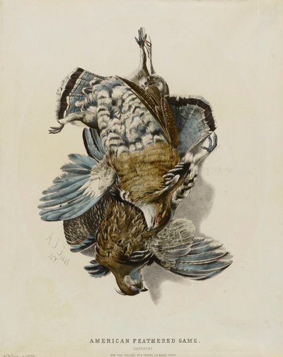 Amerykańskie ptaki łowne - naboje autorstwa Nathaniel Currier