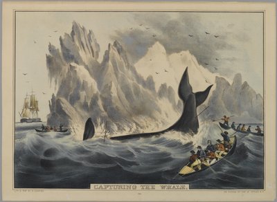 Capturing the Whale (litografia ręcznie kolorowana) autorstwa Nathaniel Currier
