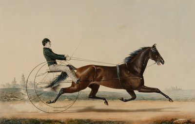 Mac autorstwa Nathaniel Currier